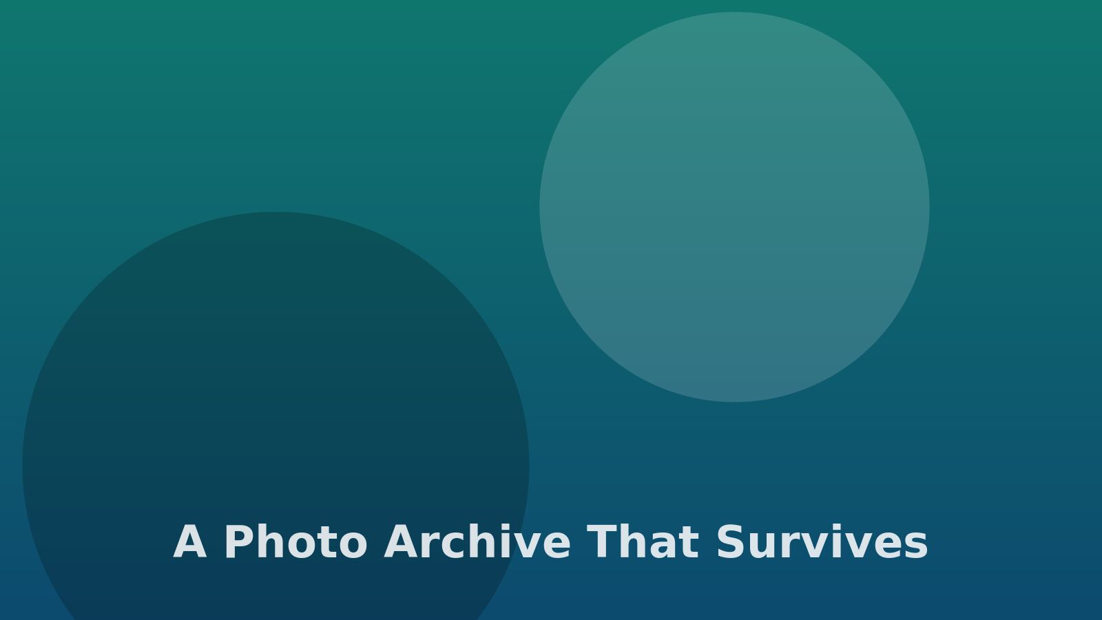 Building a photo archive that survives you