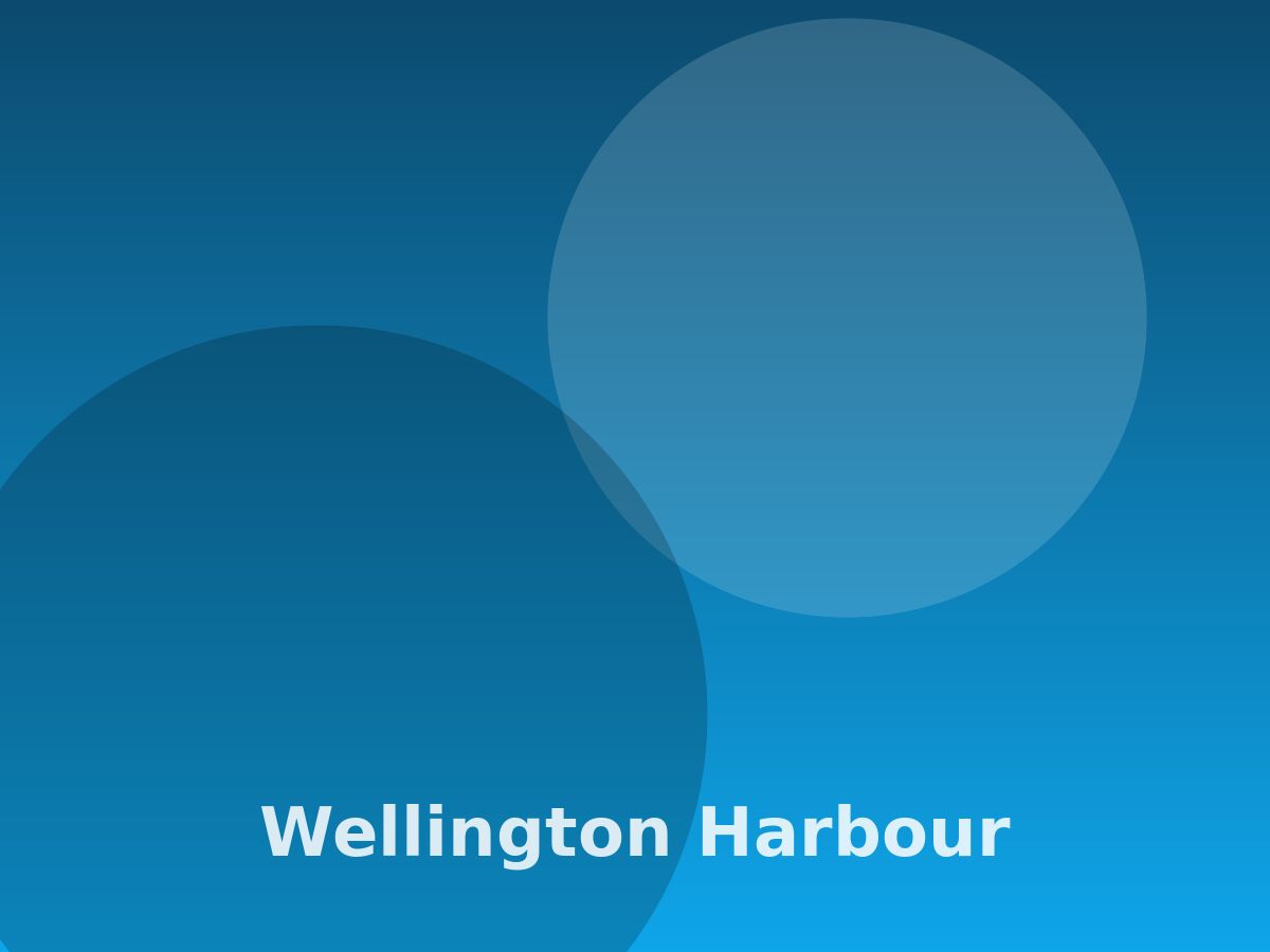 Wellington harbour